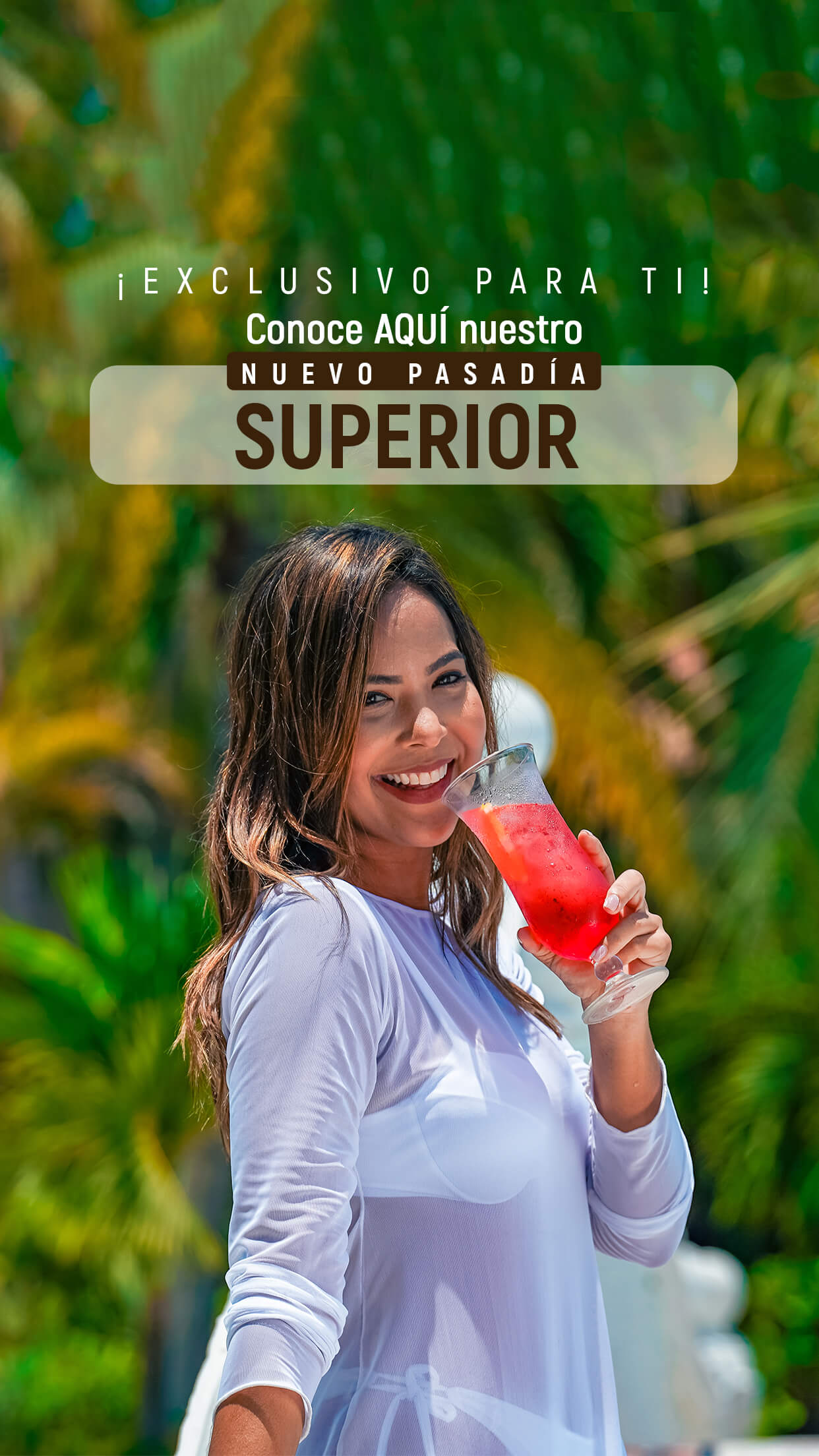 Banner Pasadia Superior (moviles)