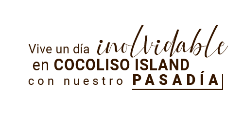 Pasadia Tradicional - Cocoliso Island