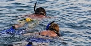 Actividades - Snorkeling
