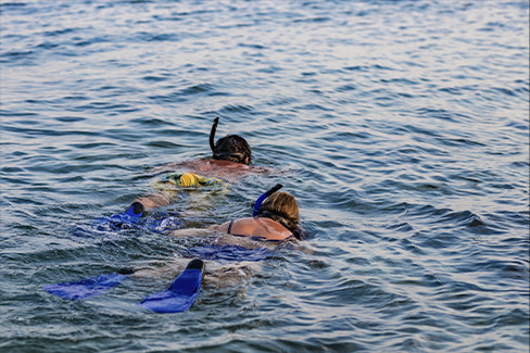 Snorkeling - Cocoliso Island