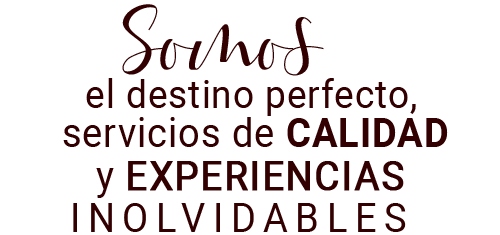 Somos el destino perfecto, servicios de calidad y experiencias inolvidables - Servicios Cocoliso Island