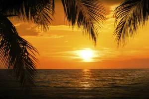 Galeria de Imagenes - Cocoliso Island - Cartagena