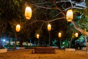 Galeria de Imagenes - Cocoliso Island - Cartagena